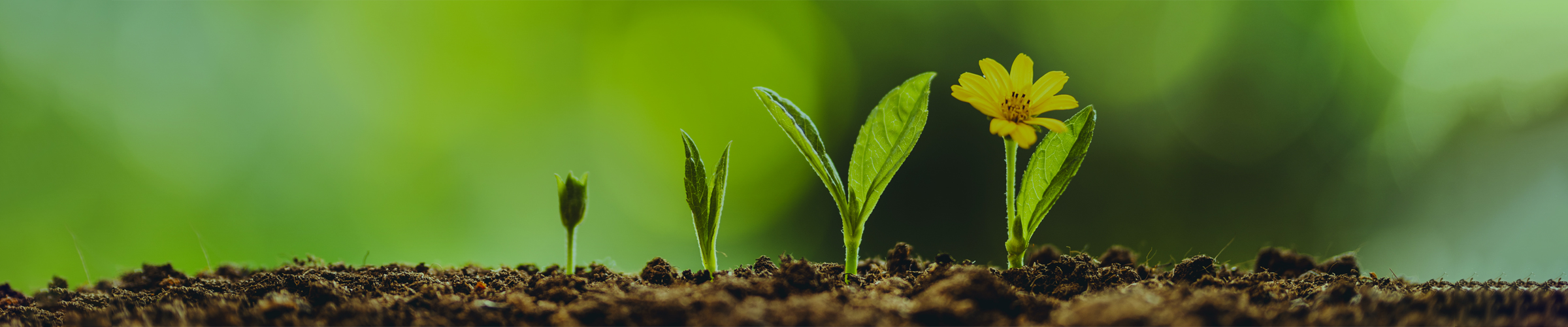 ニュース｜株式会社 JUKI.NET｜産業廃棄物収集運搬・中間処理・コンサルティング