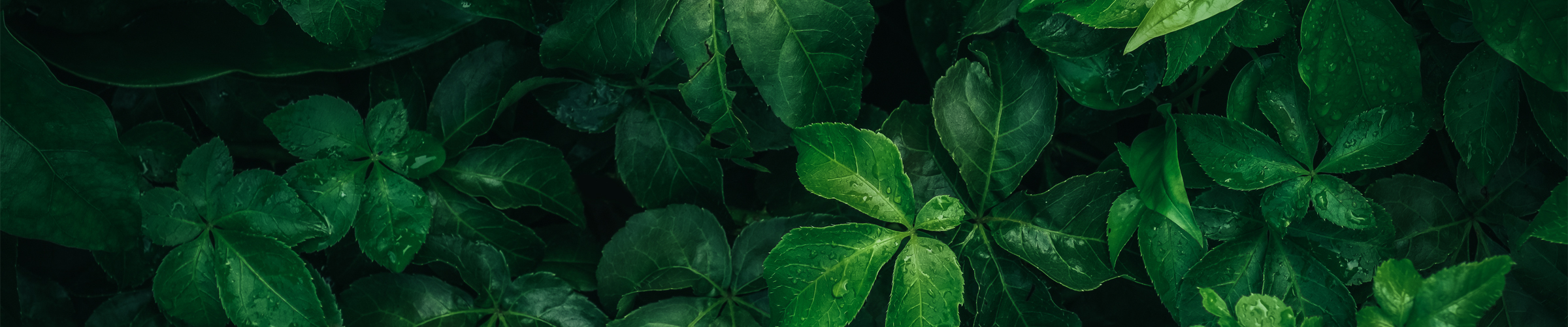 個人情報保護方針｜株式会社 JUKI.NET｜産業廃棄物収集運搬・中間処理・コンサルティング